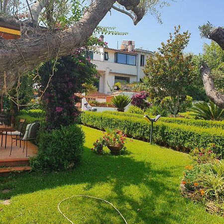 La Capannina Cilento Num 11 San Marco di Castellabate Exterior foto