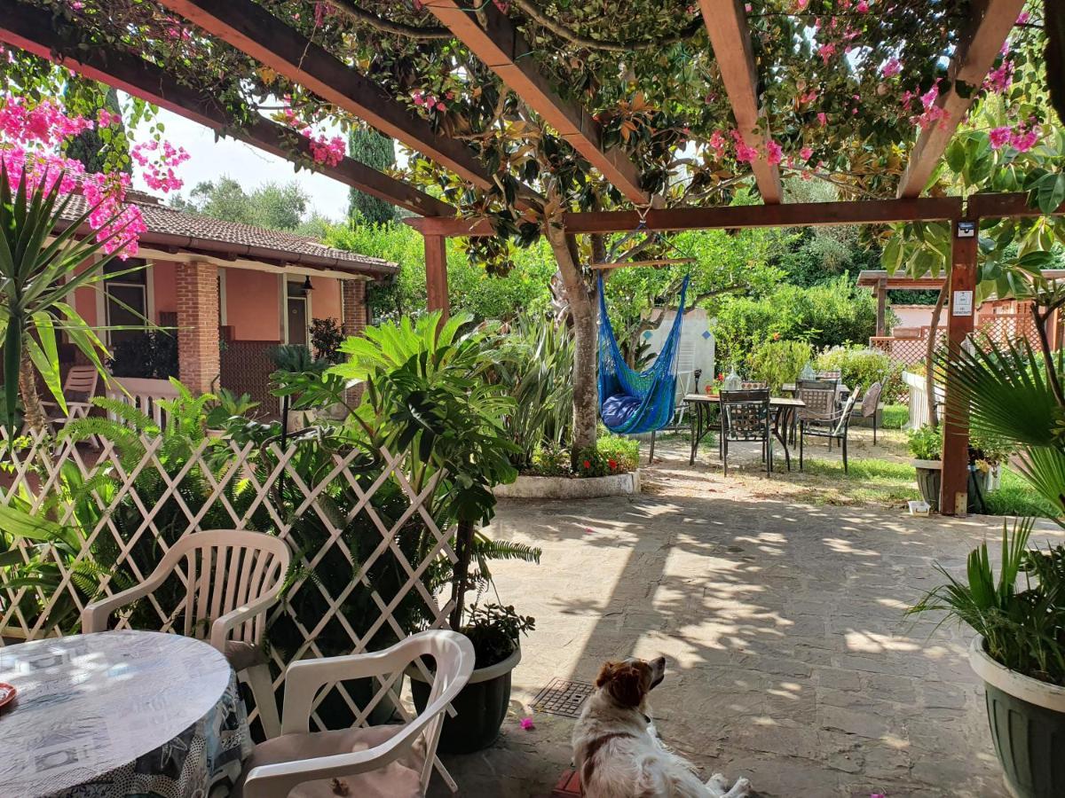 La Capannina Cilento Num 11 San Marco di Castellabate Exterior foto