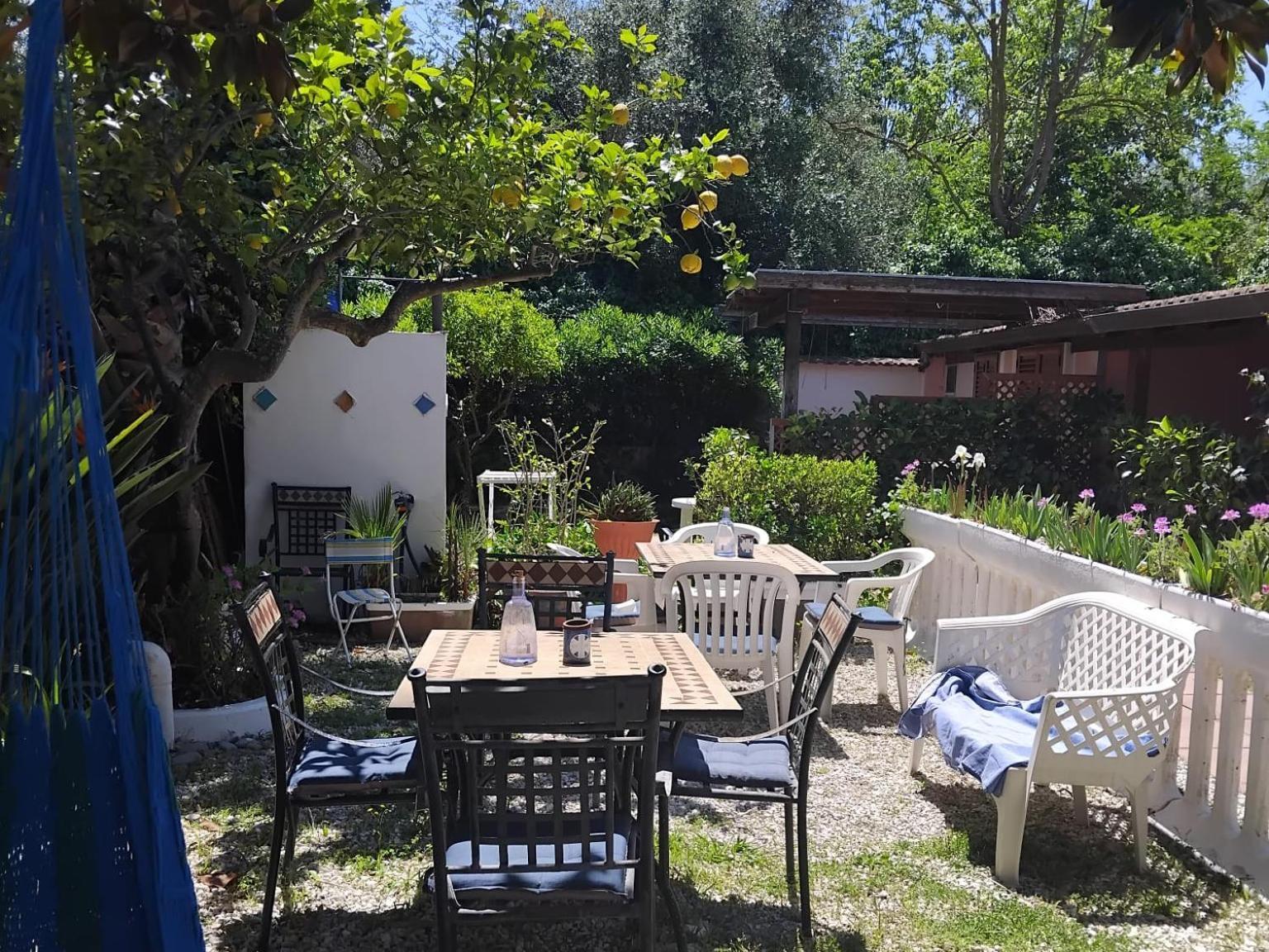 La Capannina Cilento Num 11 San Marco di Castellabate Exterior foto